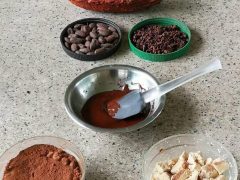 Ahí podemos ver la transformación del cacao